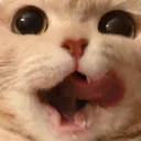 D2S_C_mlem2