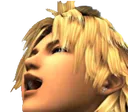 D2S_E_tiduslaugh