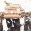coffindance