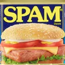 spam