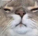 5am