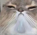 7am