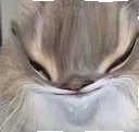 8am