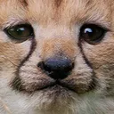 CheetoSad
