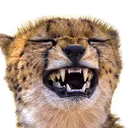 CheetoLaugh