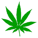 weed