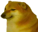 cheems2