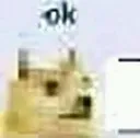 okdoge