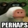 Perhaps Perhaps