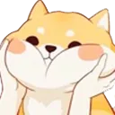 cuteshiba