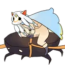 nac_rider2 nac_rider2