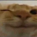 wink