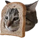 meowbread