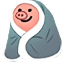 piginablanket