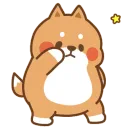 dancedog