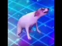 dancetilldead dancetilldead
