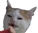 ew
