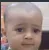 zalapata