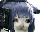 SadCat