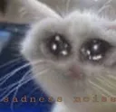 bruh