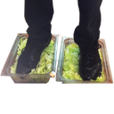 NUMBER15 Discord emoji