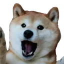 ShockBOYE ShockBOYE