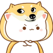 nyaShiba