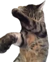 gogodab