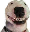walt Discord emoji