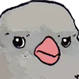 AnnoyedBird AnnoyedBird