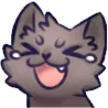 Cat Joy CatJoy Discord Emoji