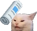 catbap catbap