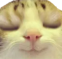 uwu uwu