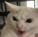 BE_TwinkieAngry