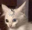 confused