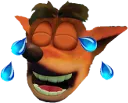 CrashJoy