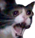 CatCrying Discord emoji