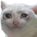 sadcat Discord emoji