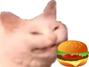 D2S_C_burgermons