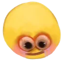 hhhh