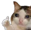 Thumbs Up Cat thumbsupcat Discord Emoji