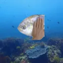 ItemBubulleEau