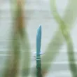 2mudkiplurk 2mudkiplurk