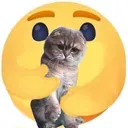 Catabuse