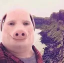 pigman