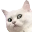 z_huh