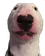 WeirdWalt