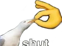 shut