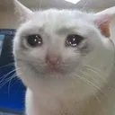 catcrying