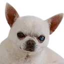 billy